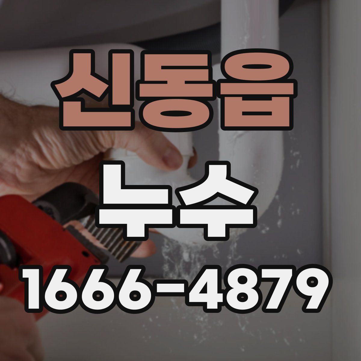 신동읍 누수