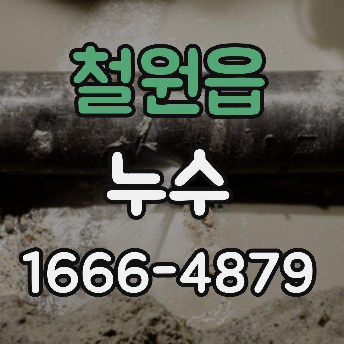 철원읍 누수