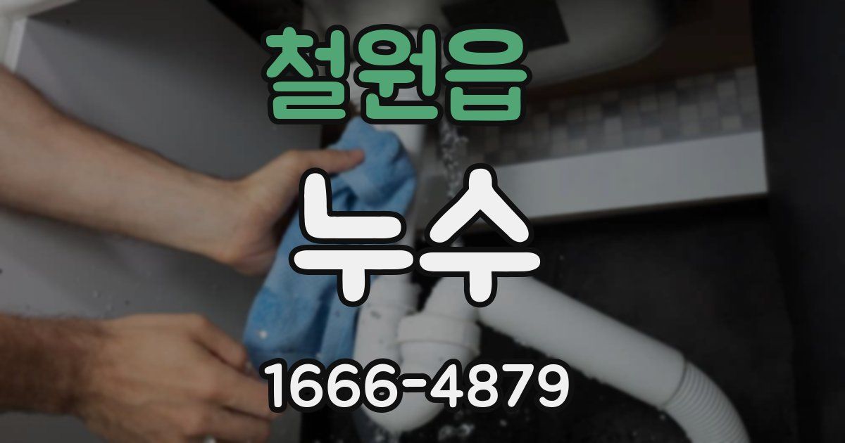 철원읍 누수