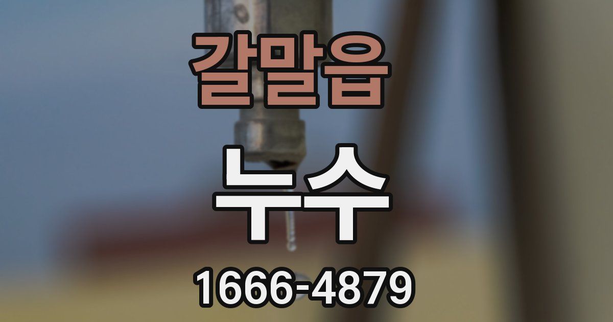 갈말읍 누수