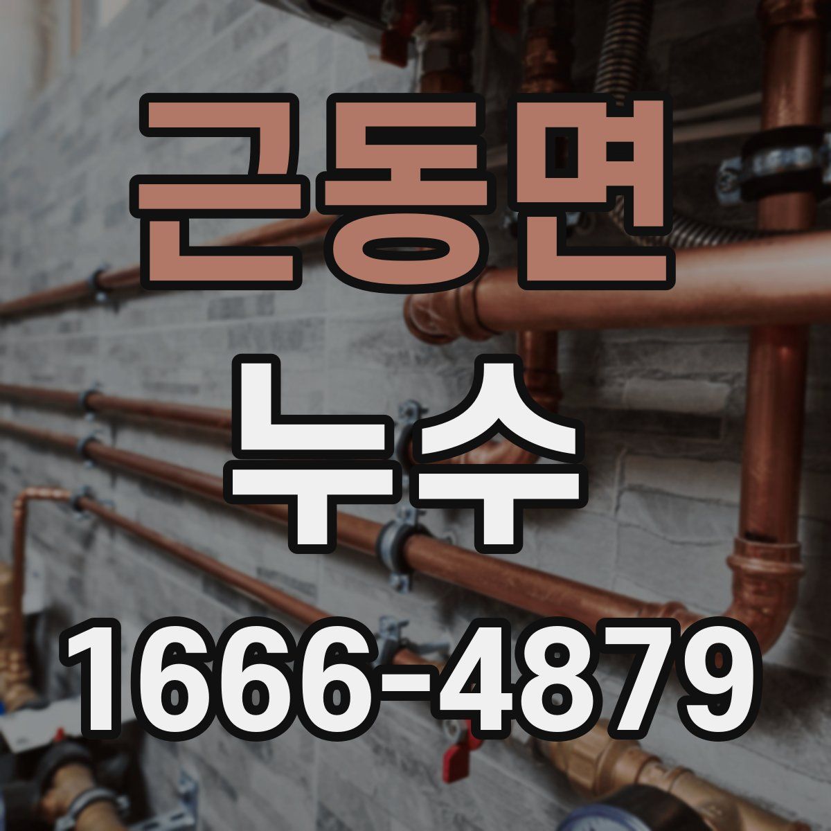 근동면 누수