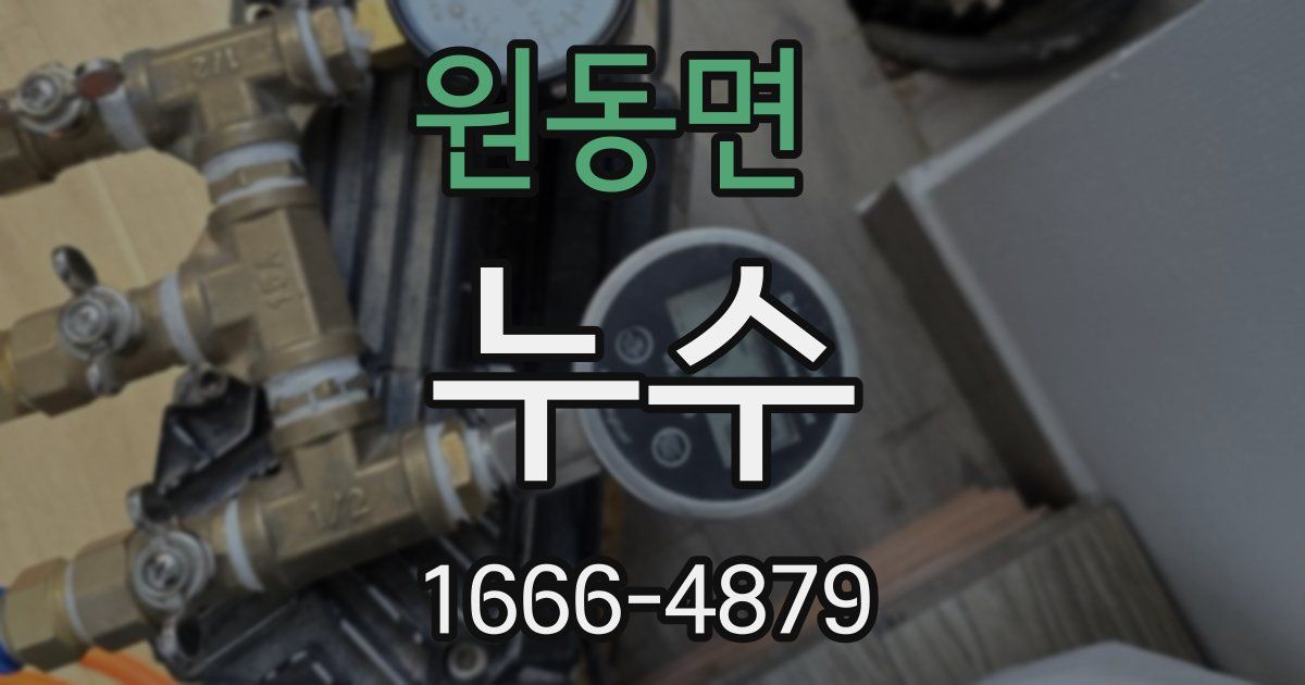 원동면 누수
