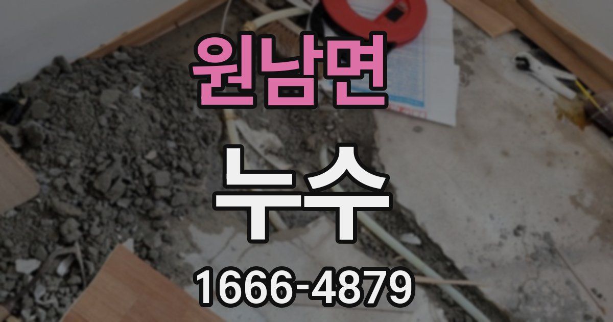 원남면 누수