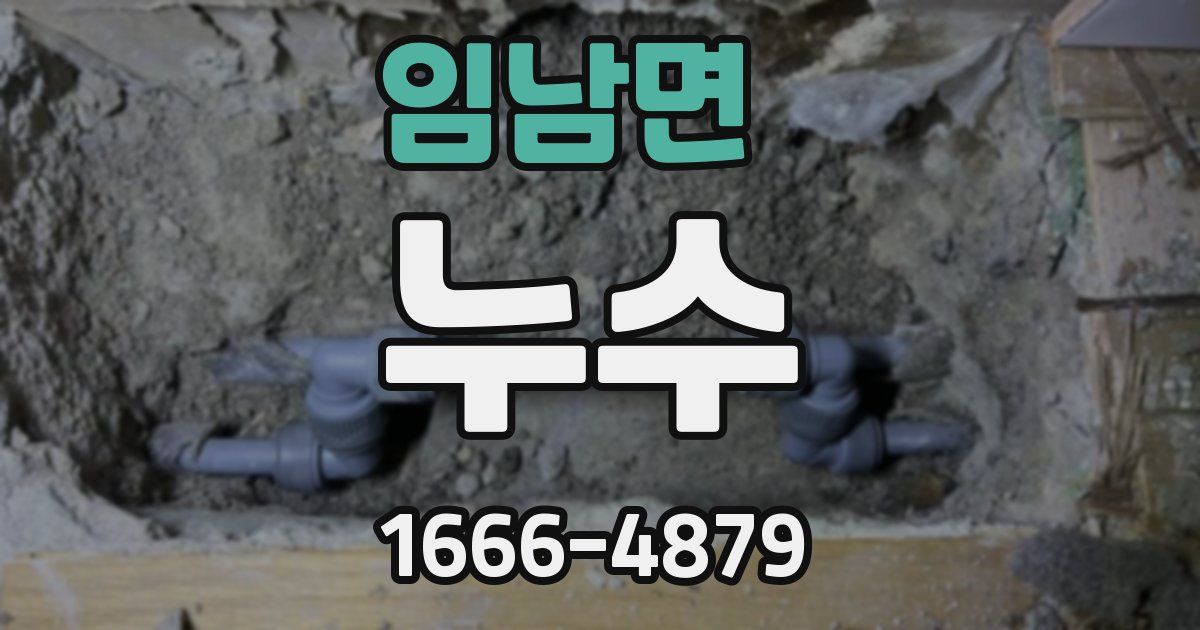 임남면 누수