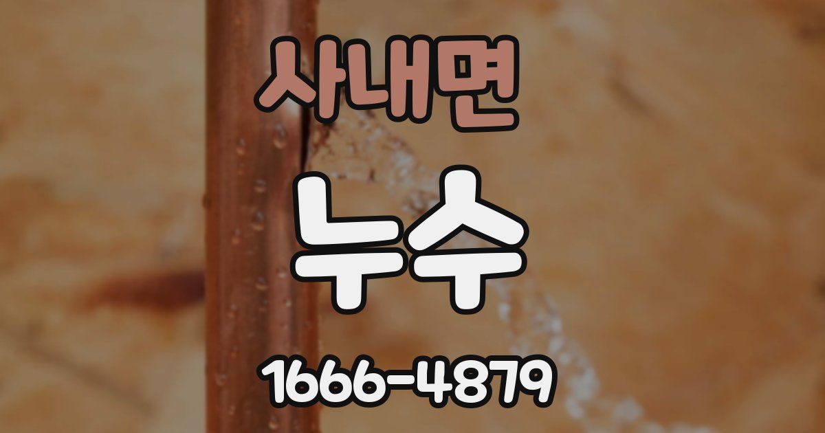 사내면 누수