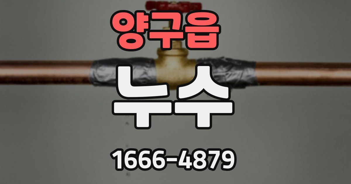 양구읍 누수
