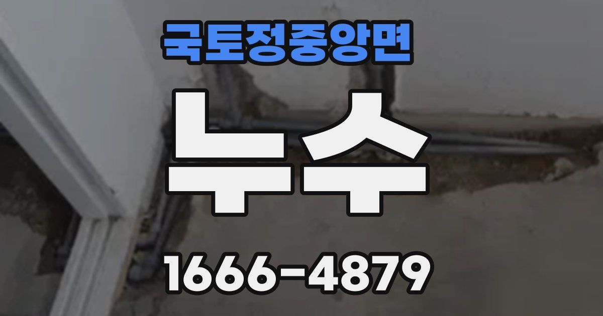 국토정중앙면 누수