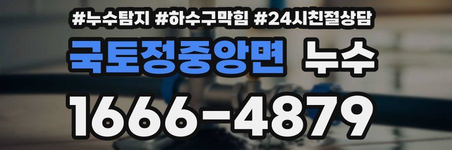 국토정중앙면 누수