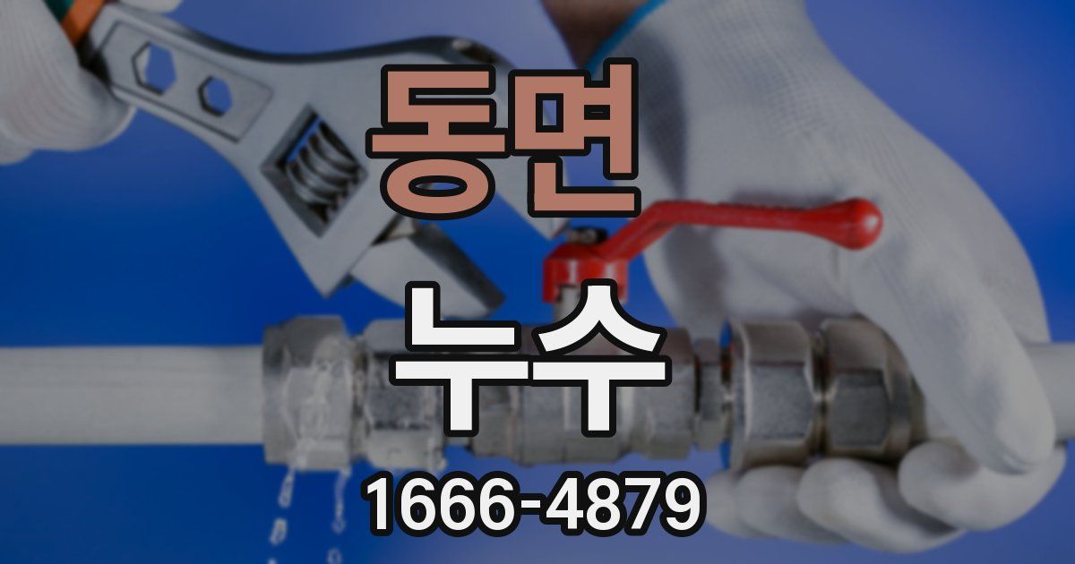 동면 누수