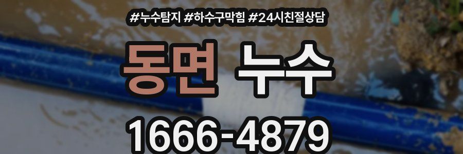 동면 누수