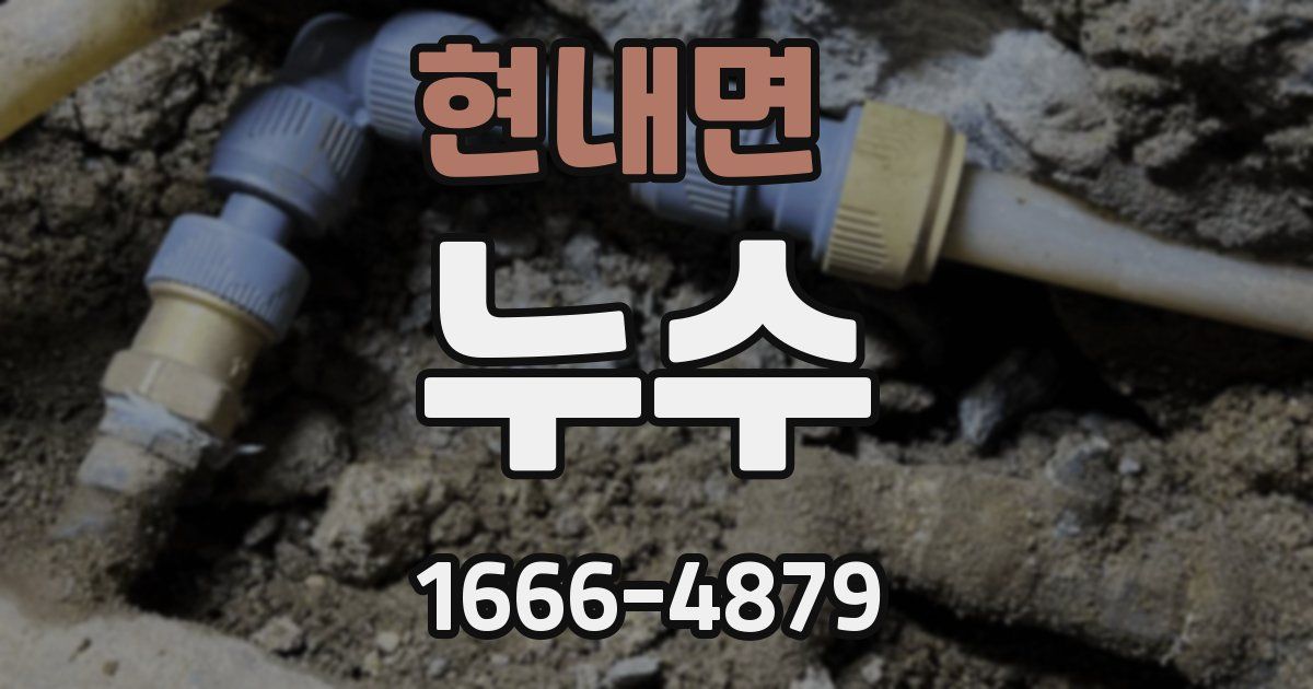 현내면 누수
