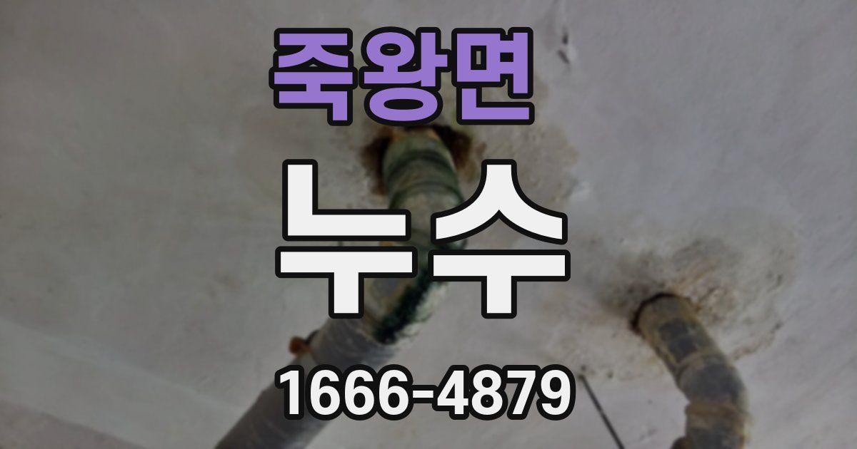 죽왕면 누수
