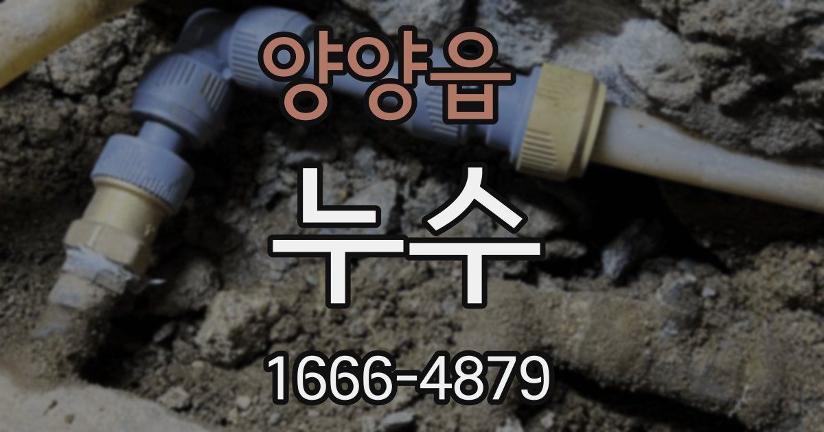 양양읍 누수