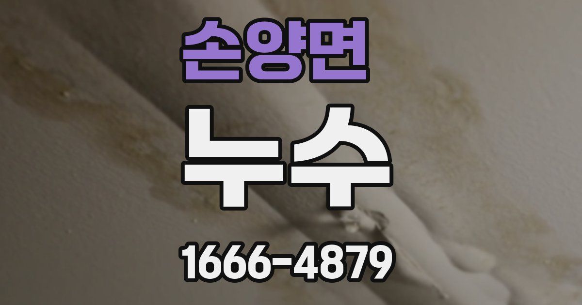손양면 누수