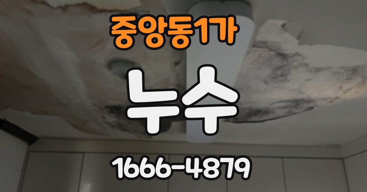 중앙동1가 누수