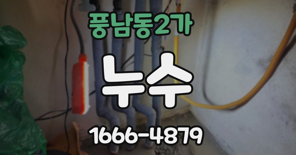 풍남동2가 누수