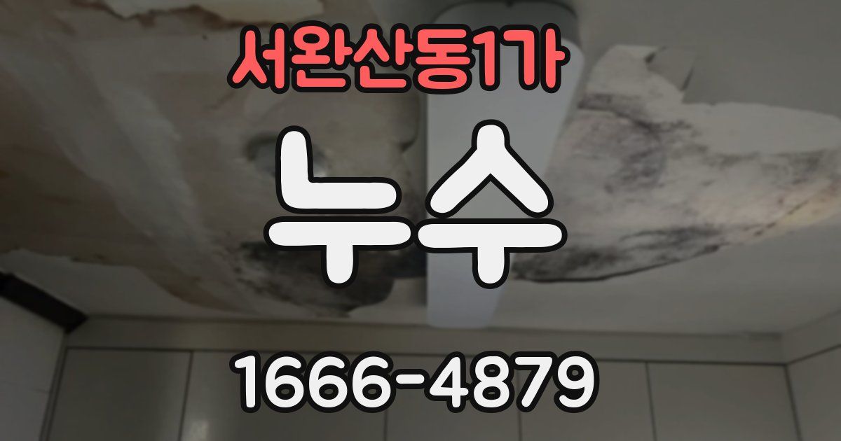 서완산동1가 누수