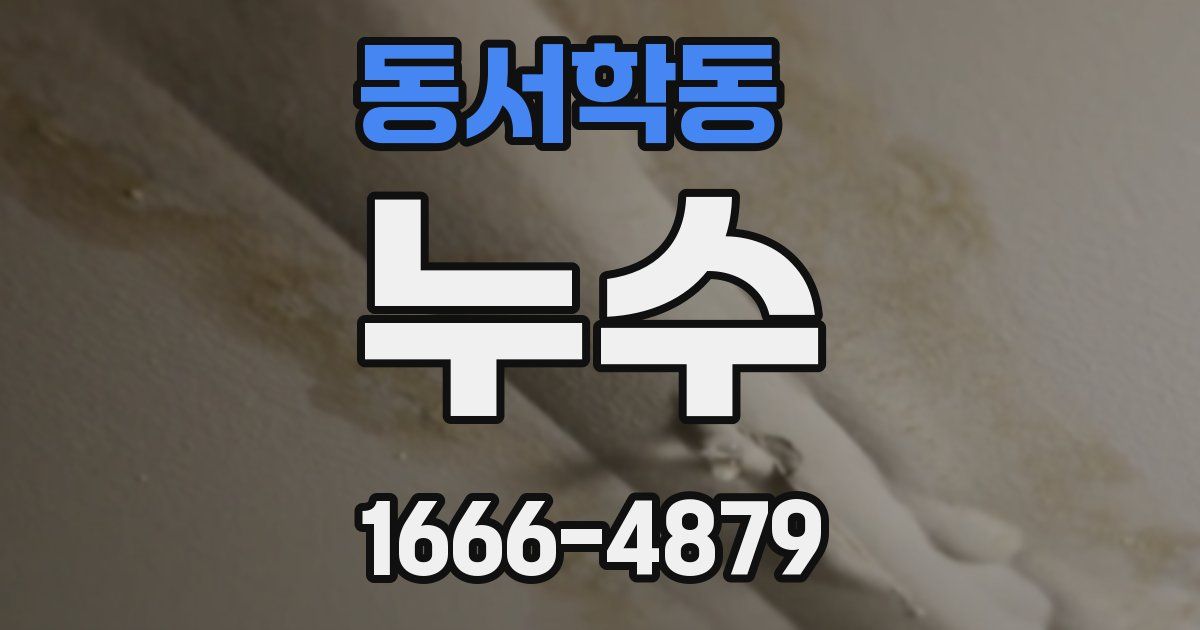 동서학동 누수