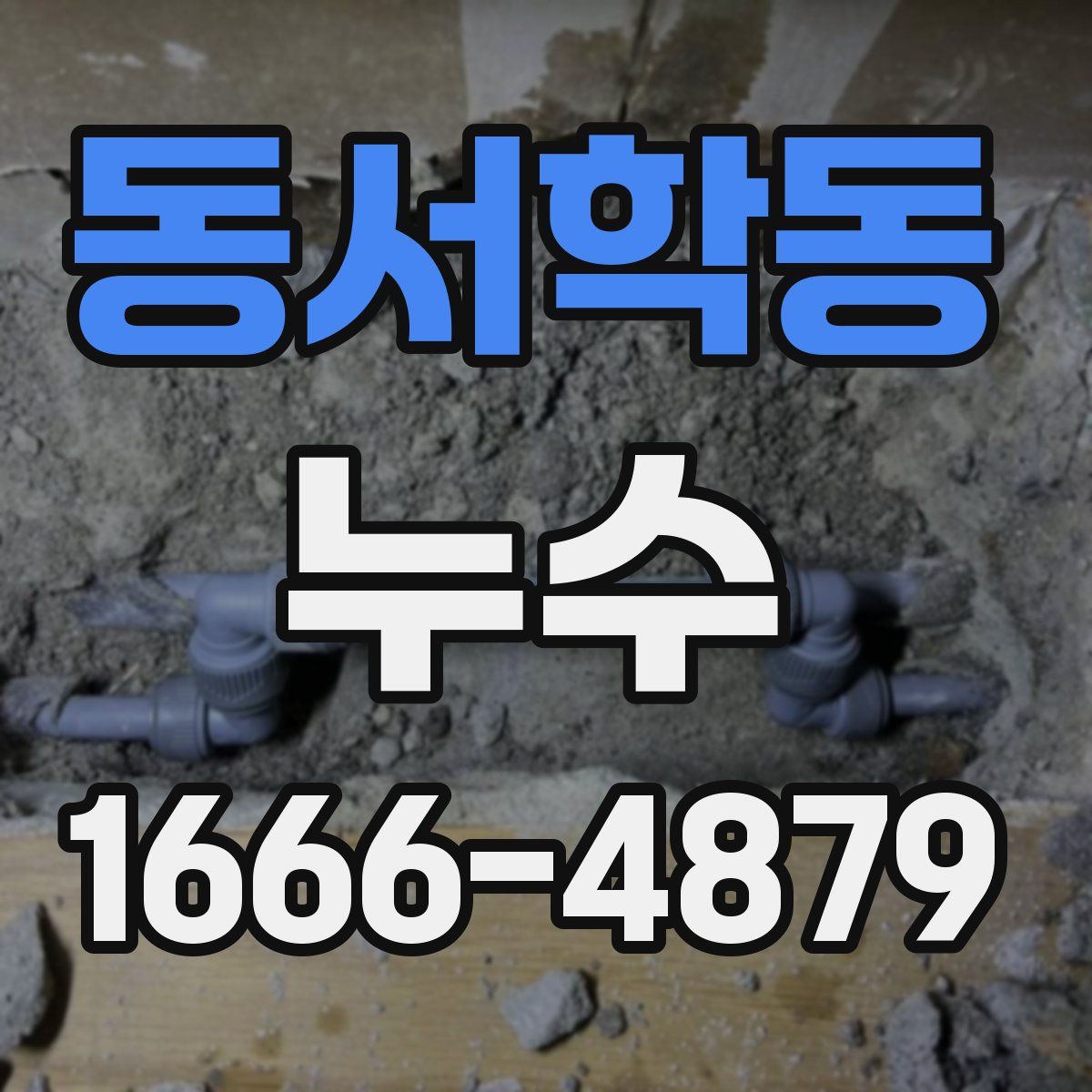 동서학동 누수