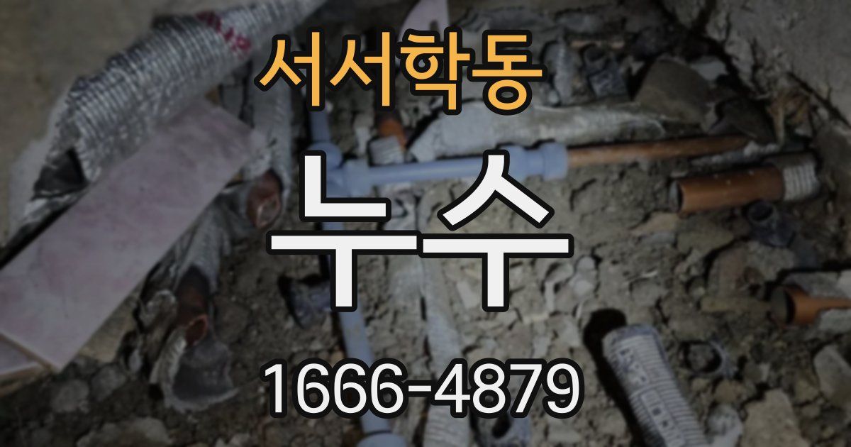 서서학동 누수