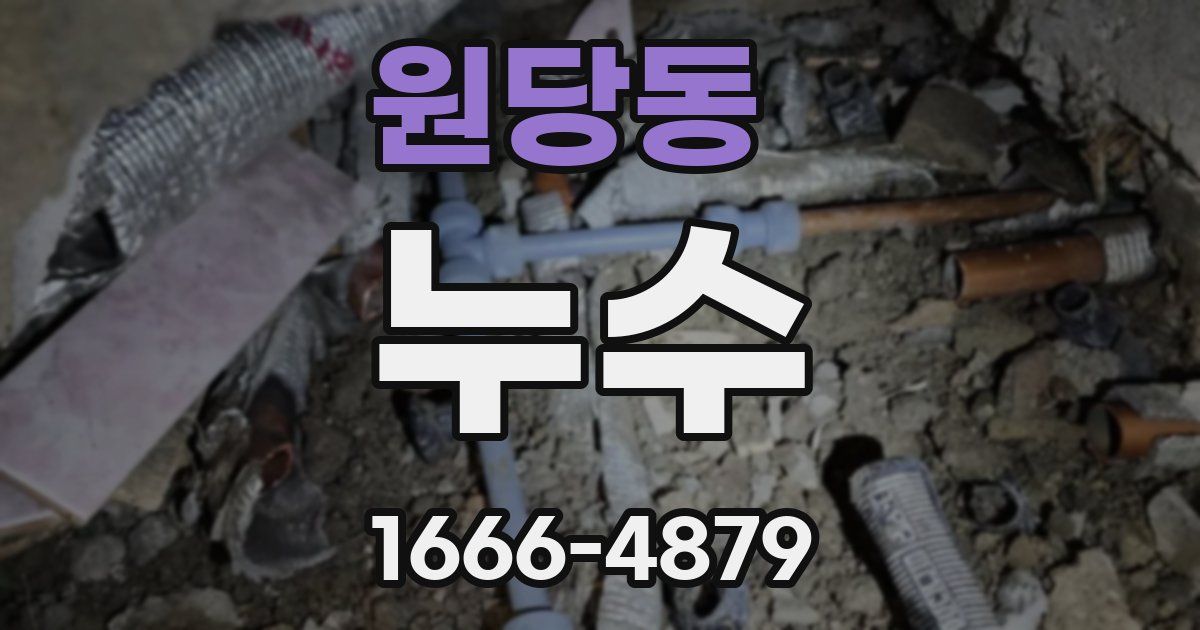 원당동 누수