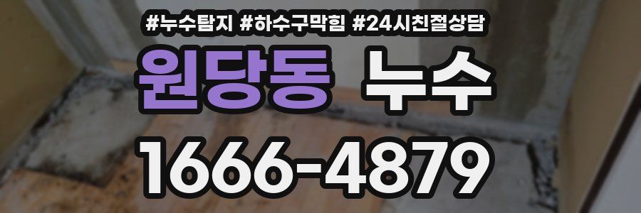 원당동 누수