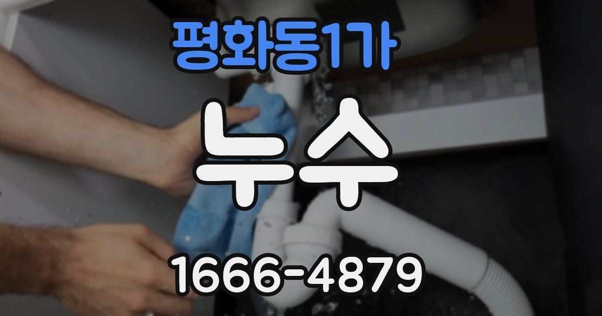 평화동1가 누수