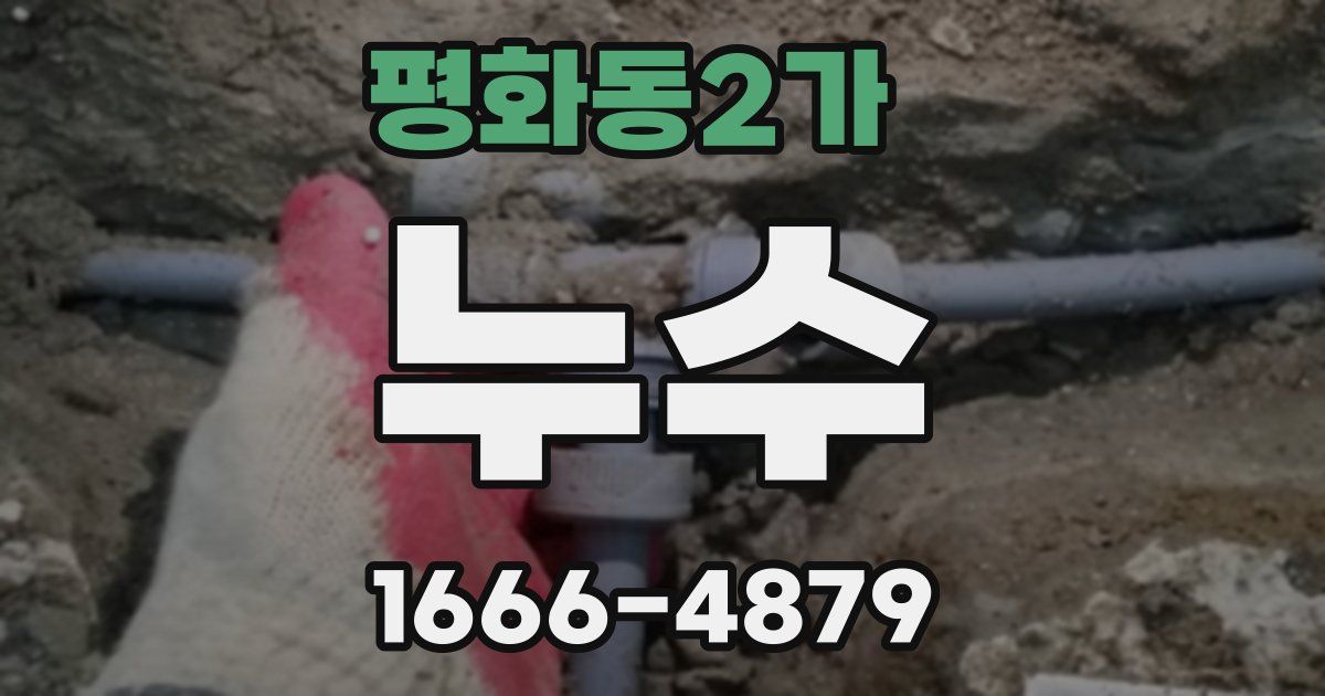 평화동2가 누수