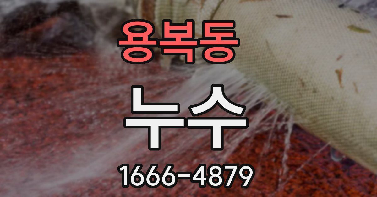 용복동 누수