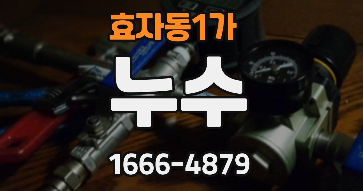 효자동1가 누수