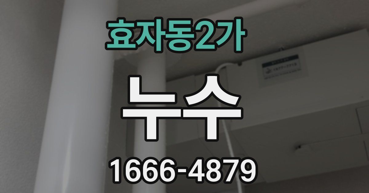 효자동2가 누수