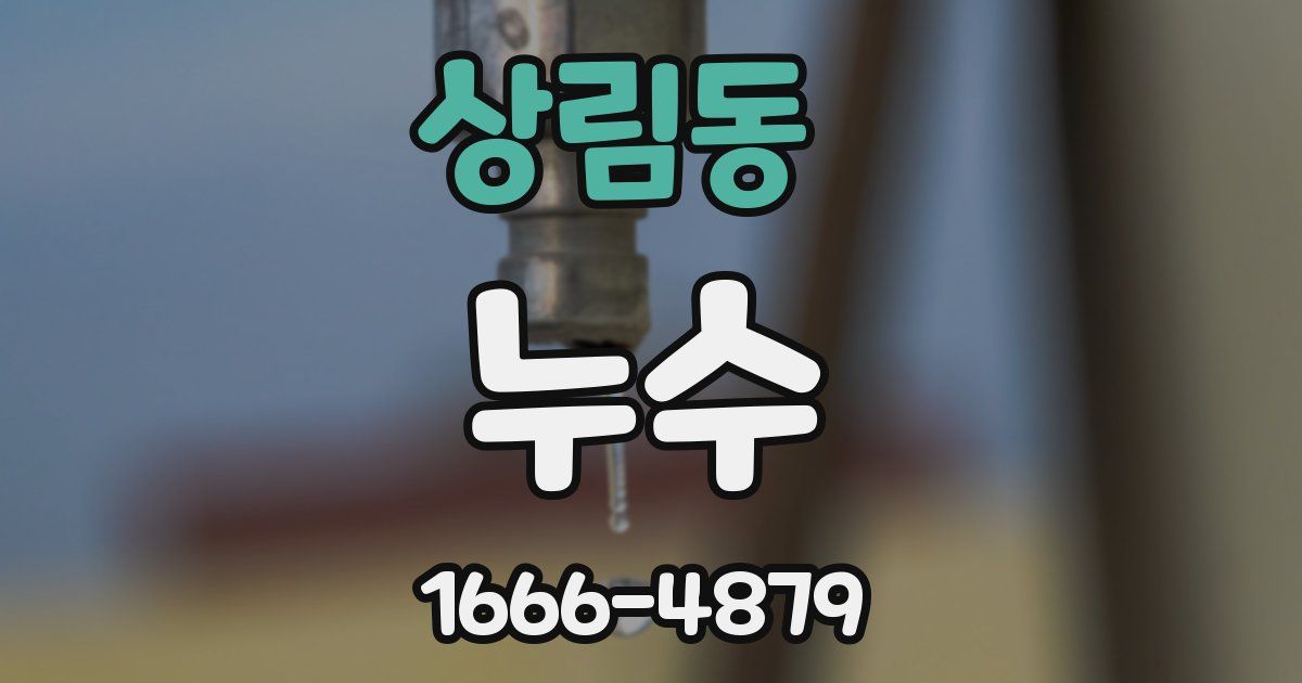 상림동 누수