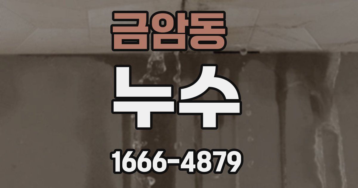 금암동 누수