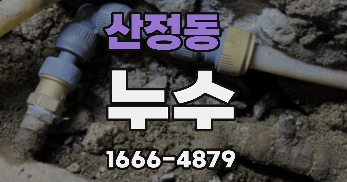 산정동 누수