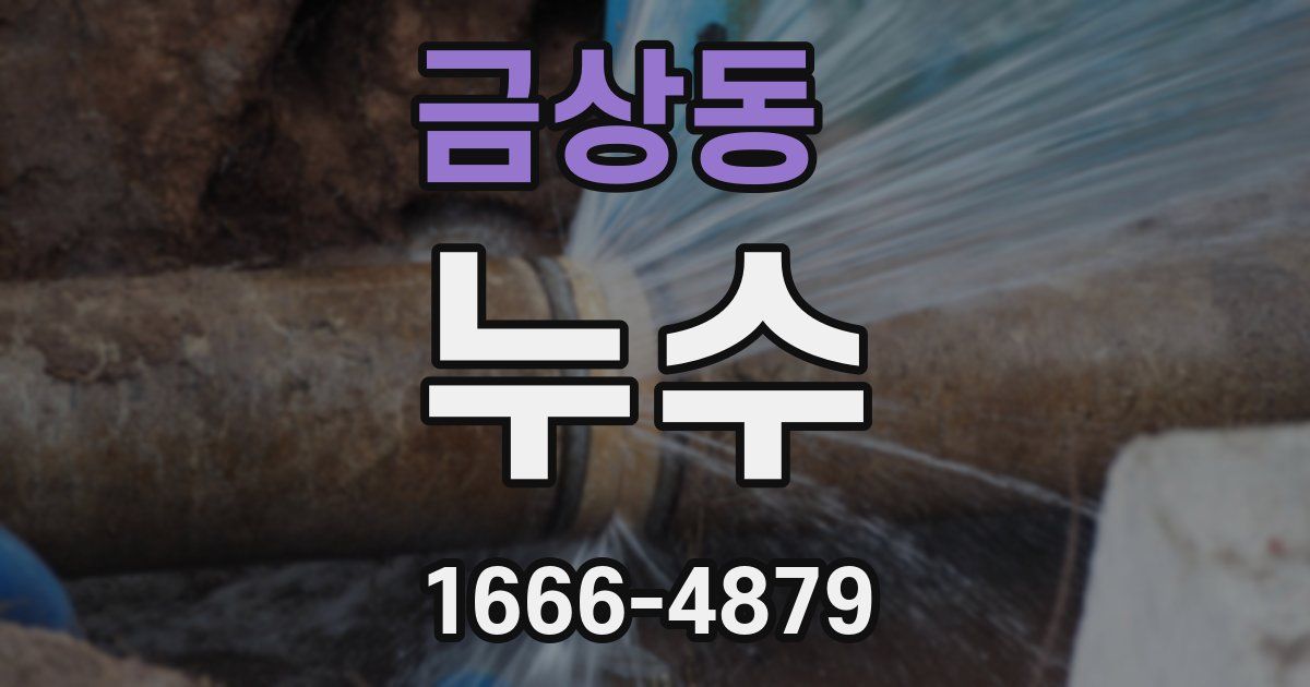 금상동 누수