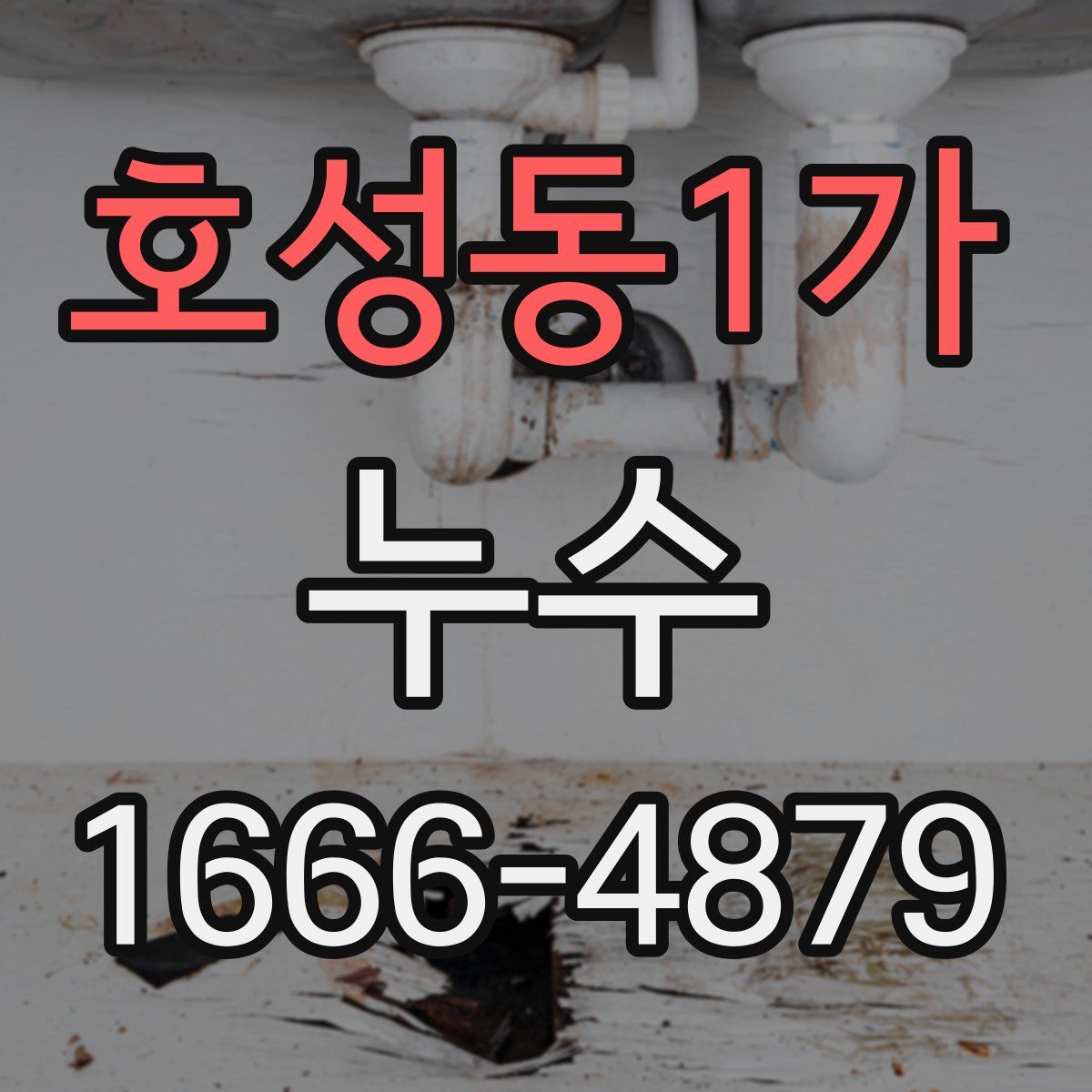 호성동1가 누수