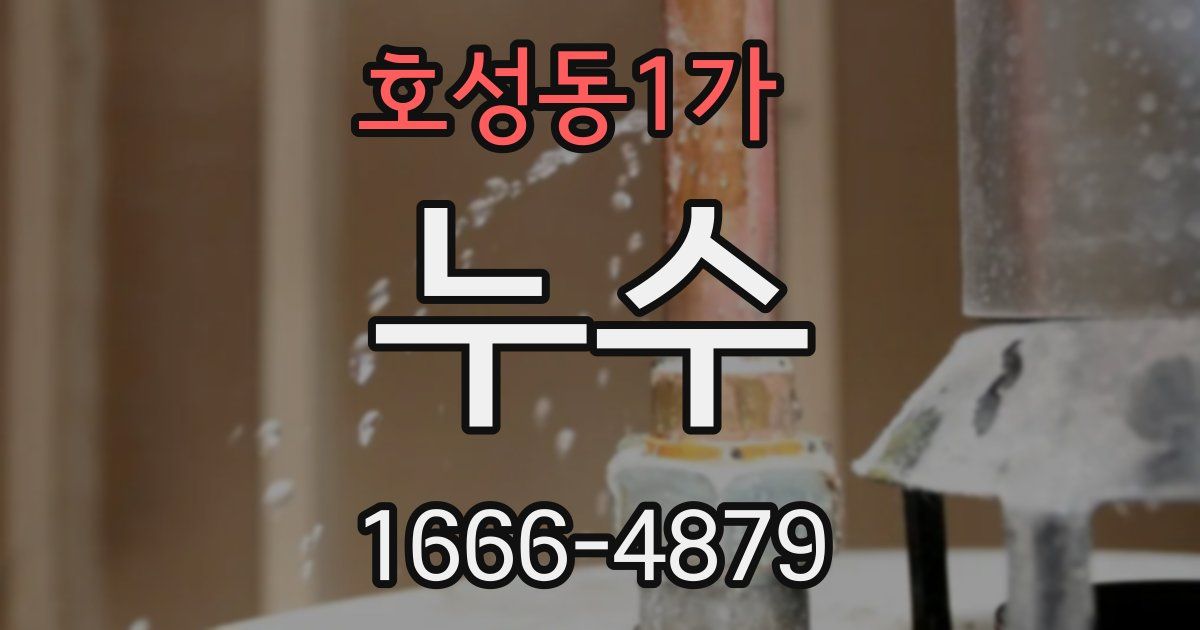 호성동1가 누수