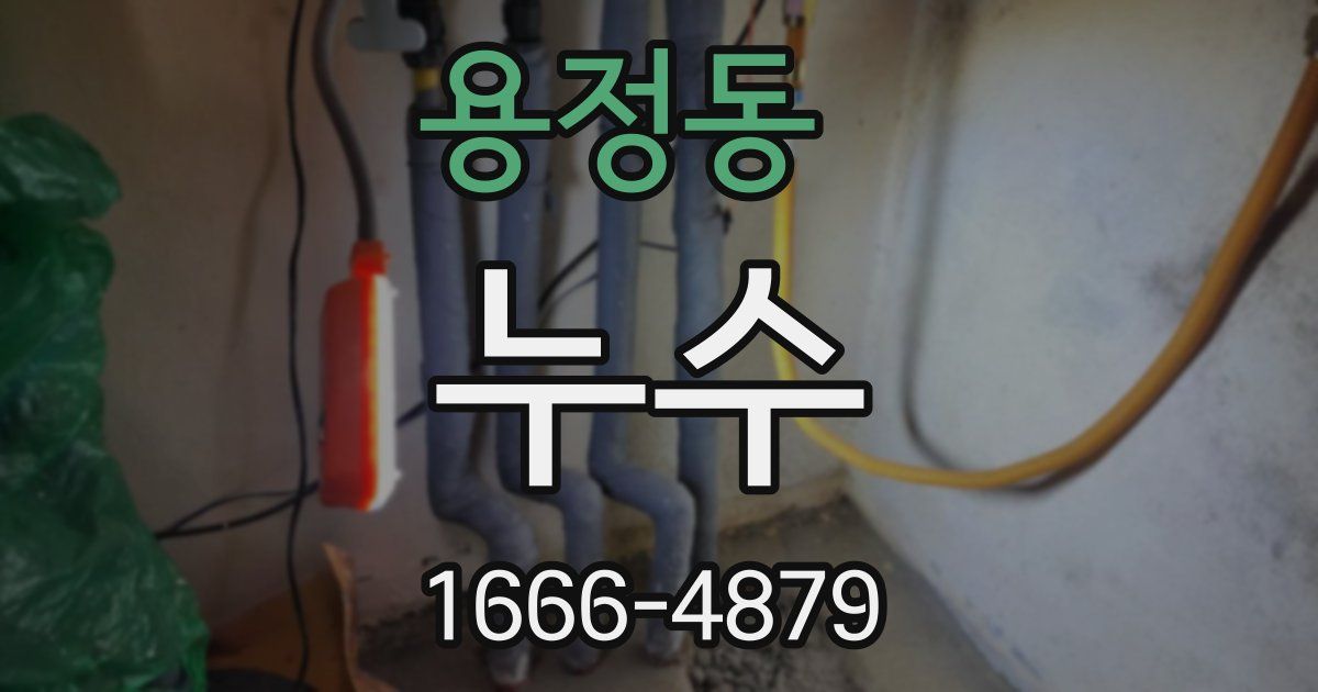 용정동 누수