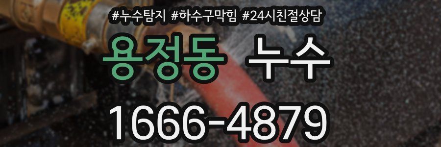 용정동 누수