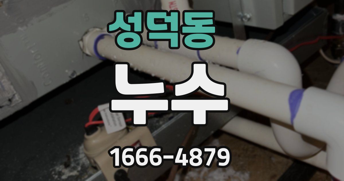 성덕동 누수