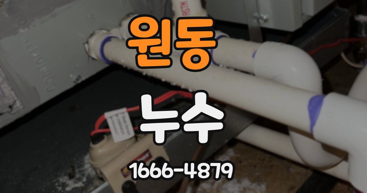 원동 누수
