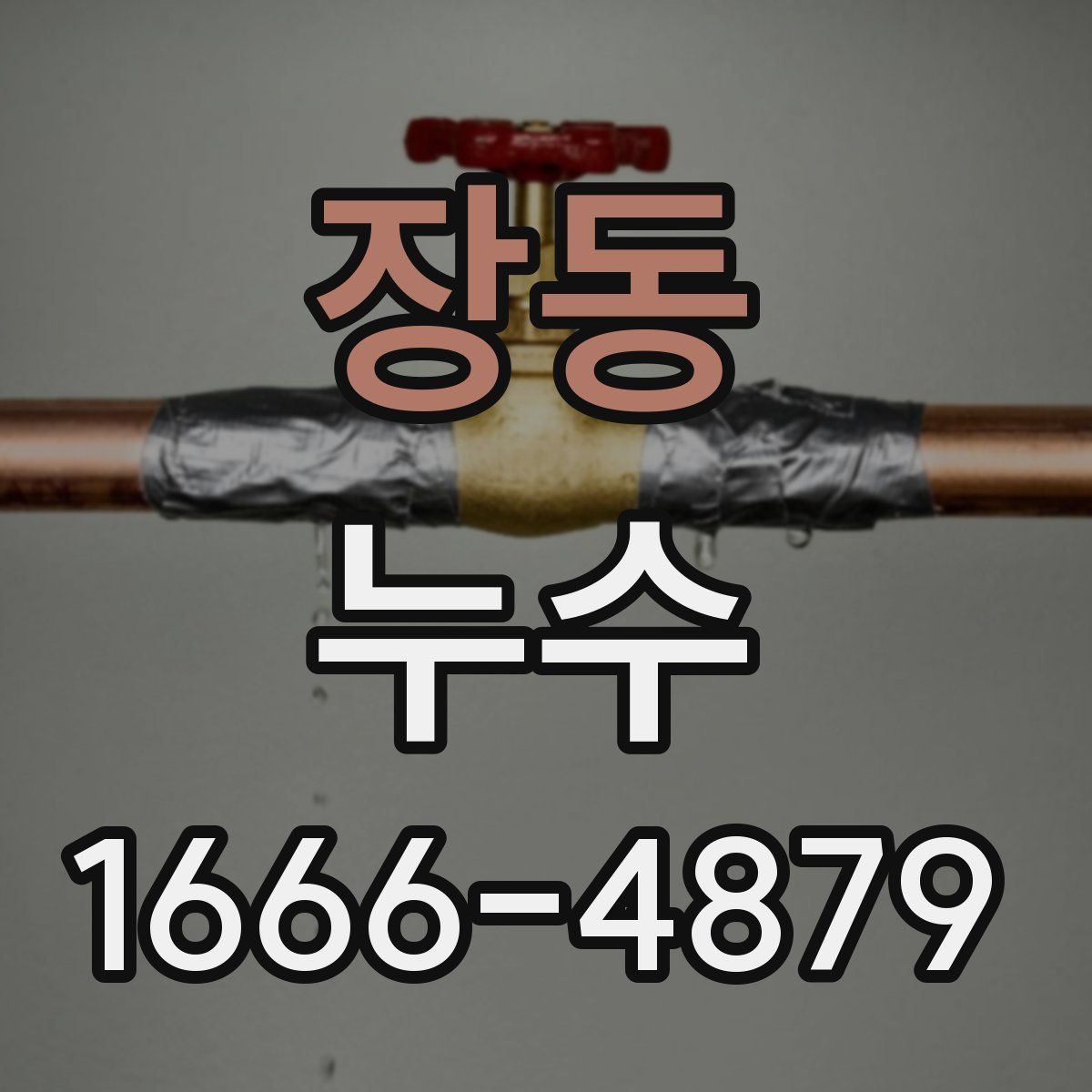 장동 누수