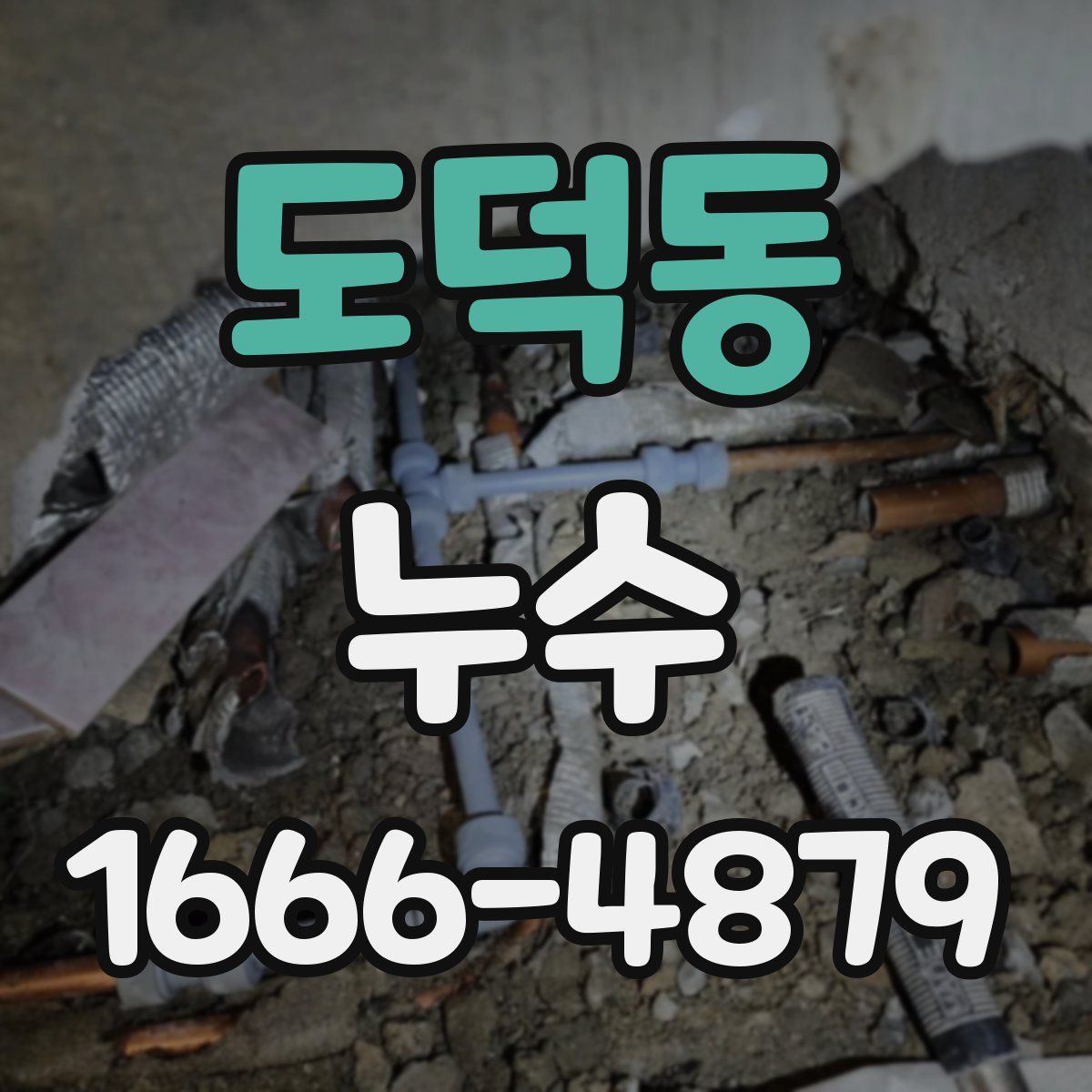 도덕동 누수
