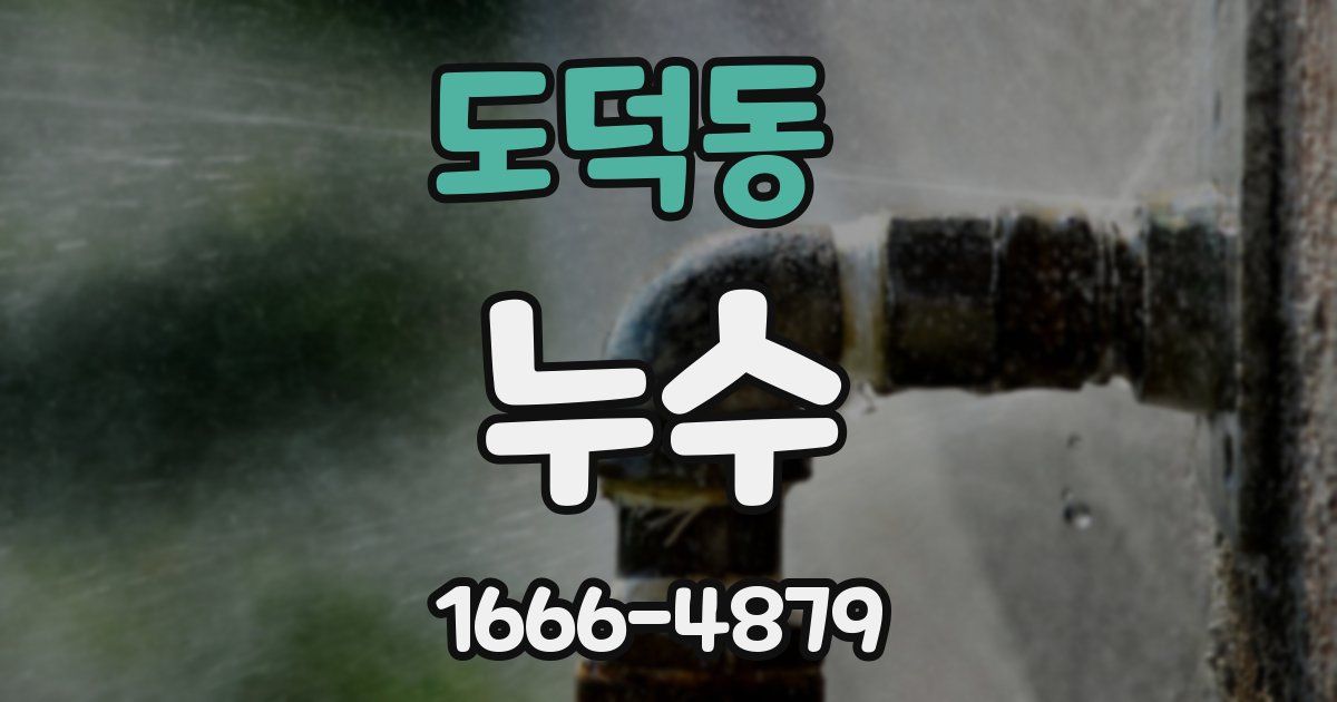 도덕동 누수