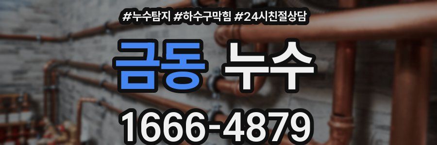 금동 누수