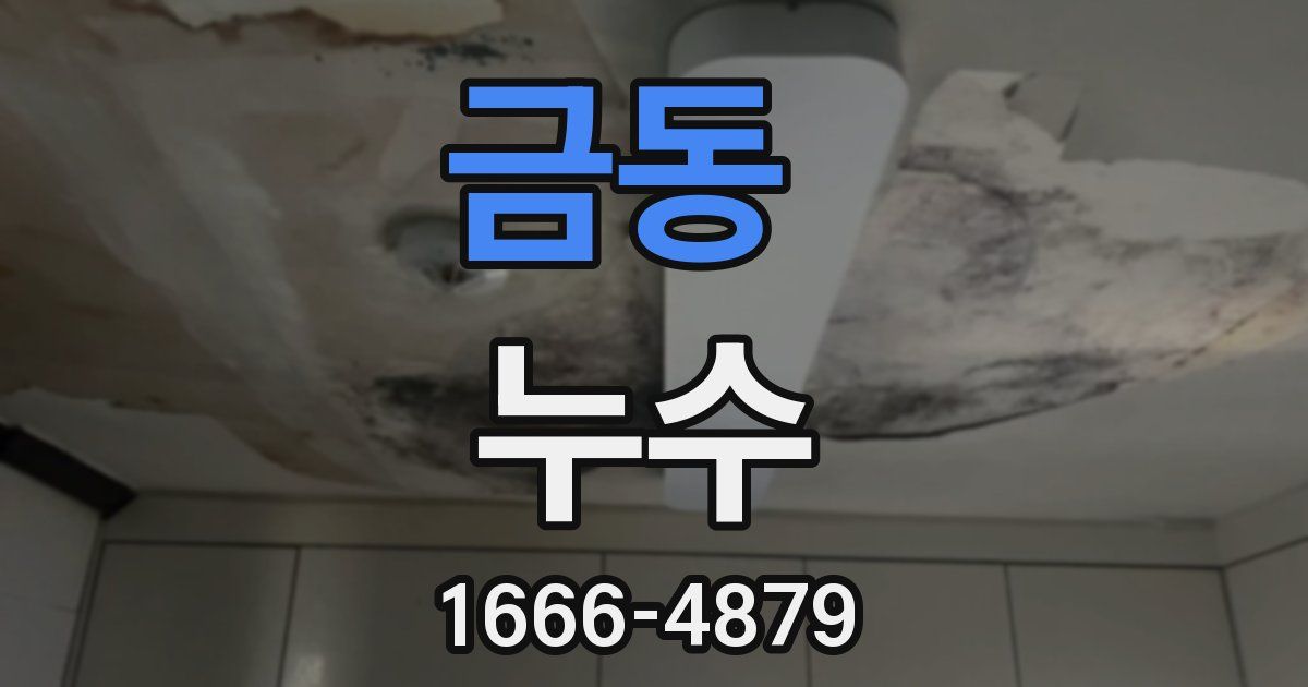 금동 누수