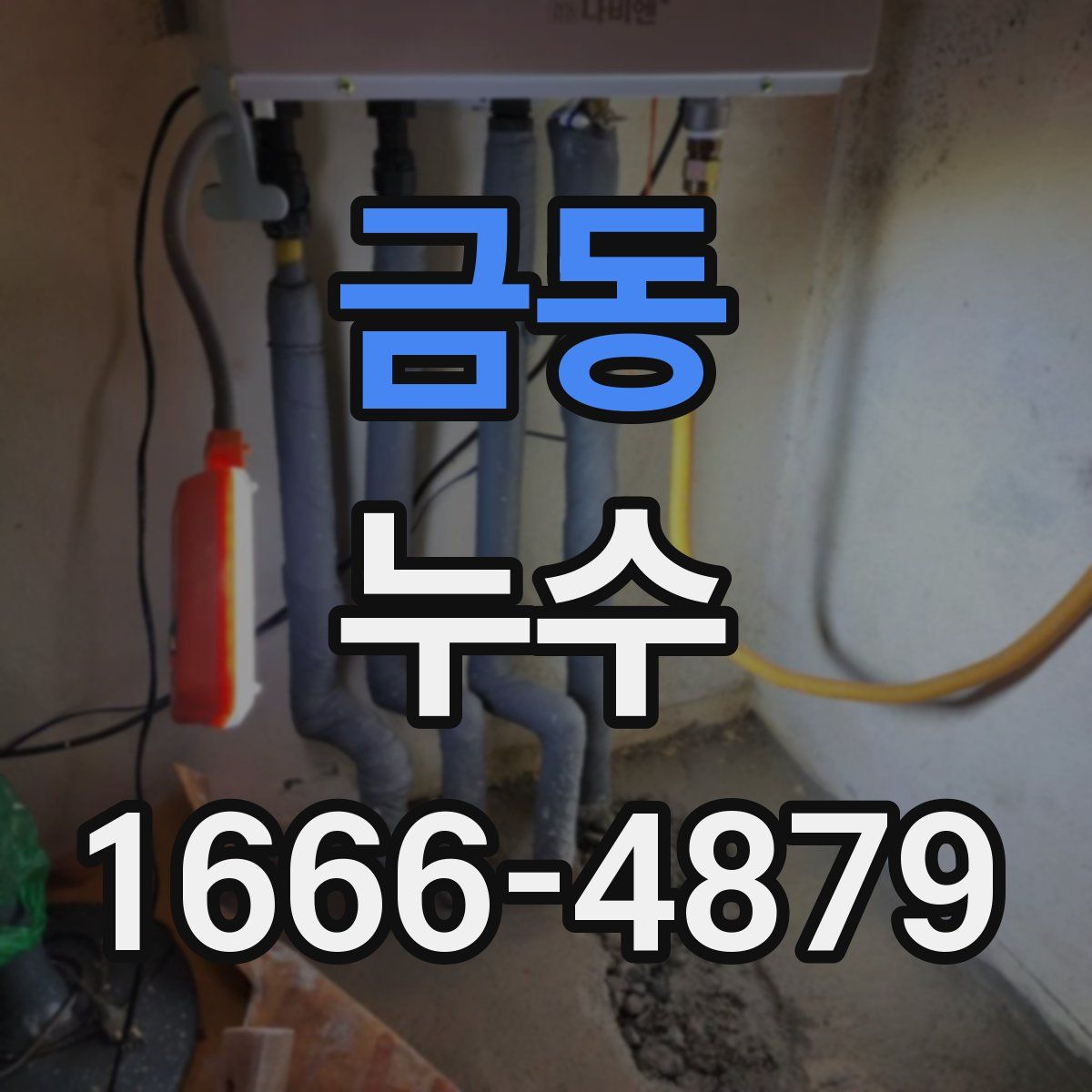 금동 누수