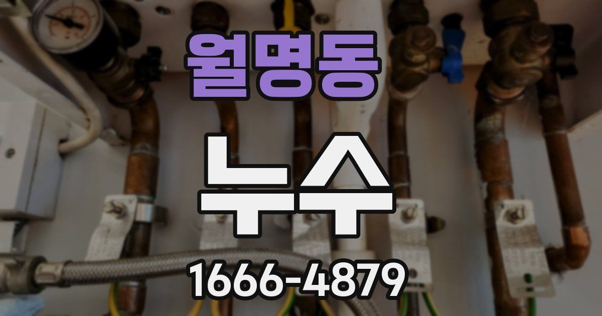 월명동 누수