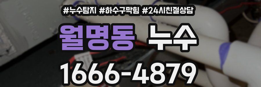 월명동 누수