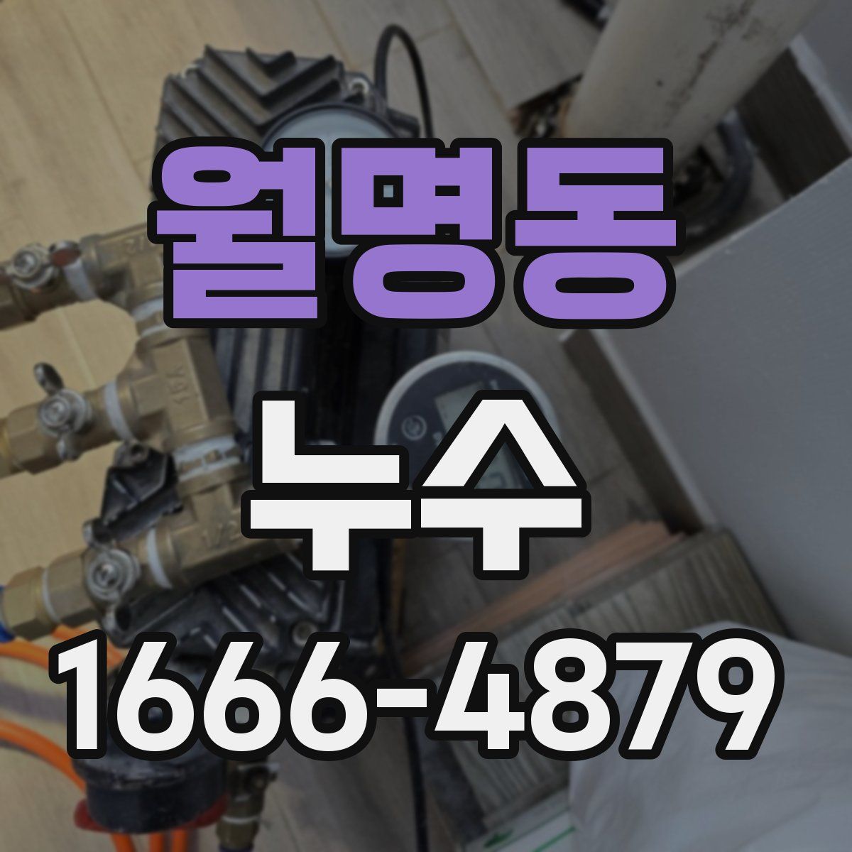 월명동 누수